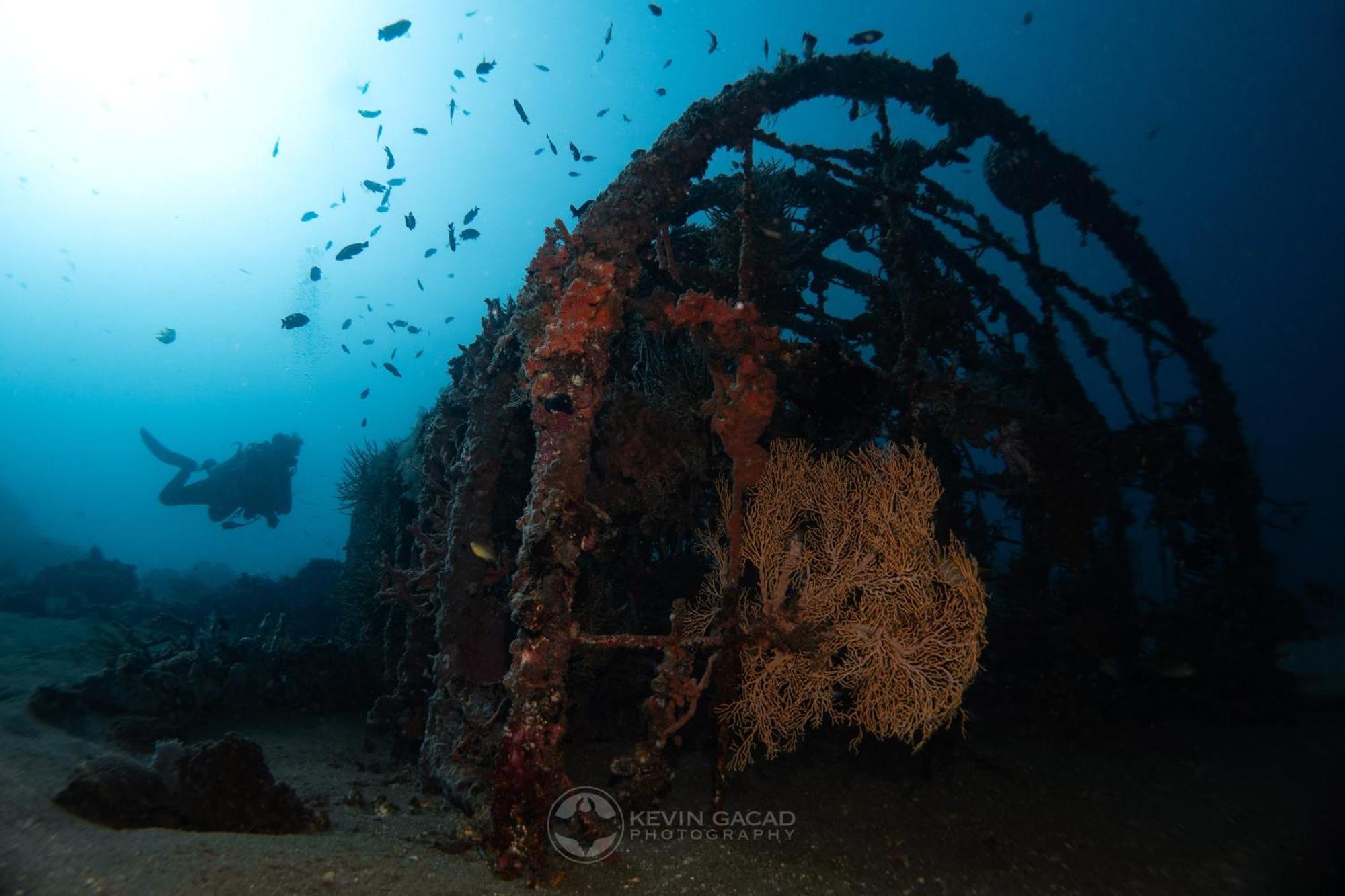 Vitaminsea Room Dauin Luaran gambar