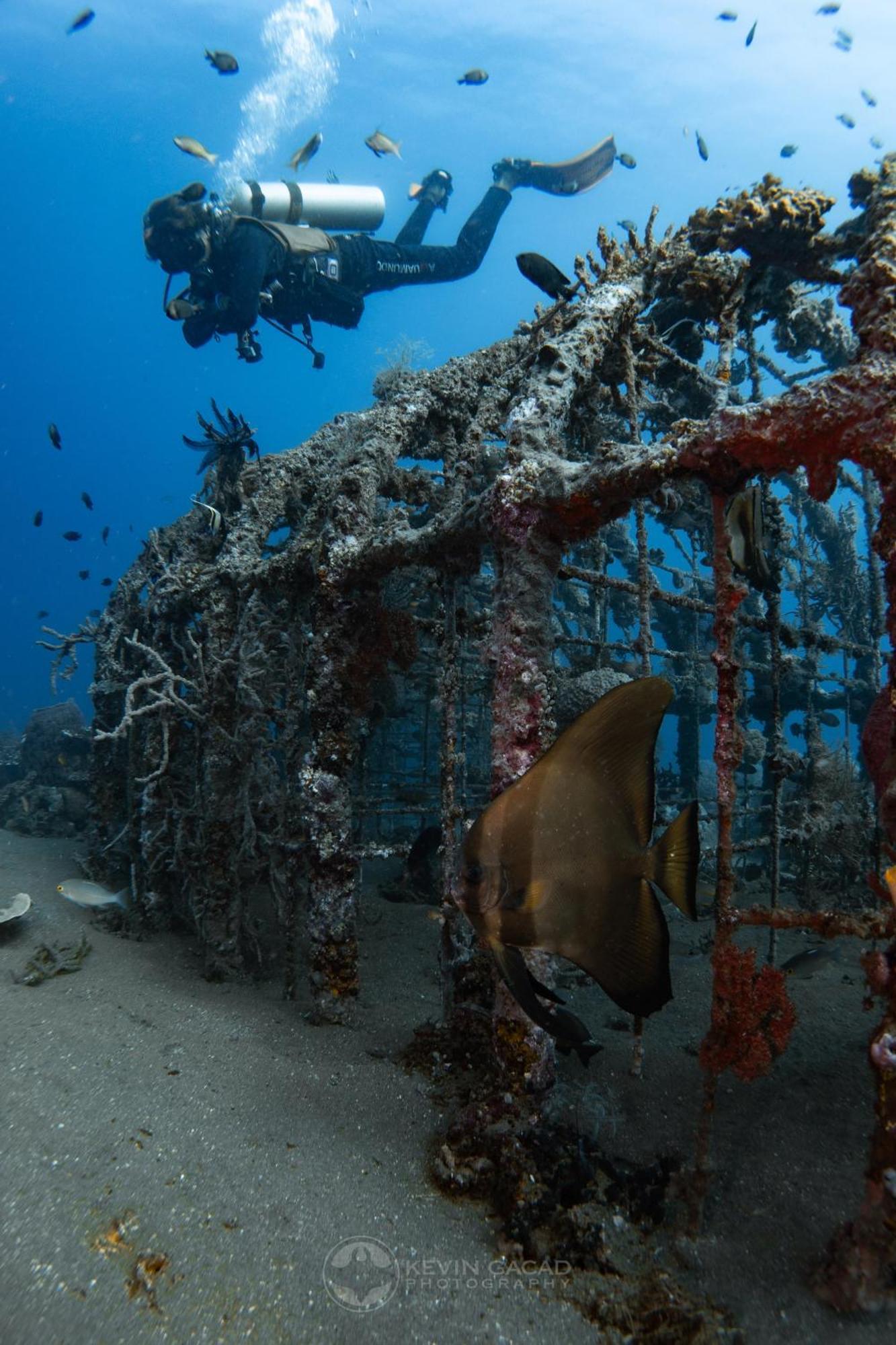 Vitaminsea Room Dauin Luaran gambar