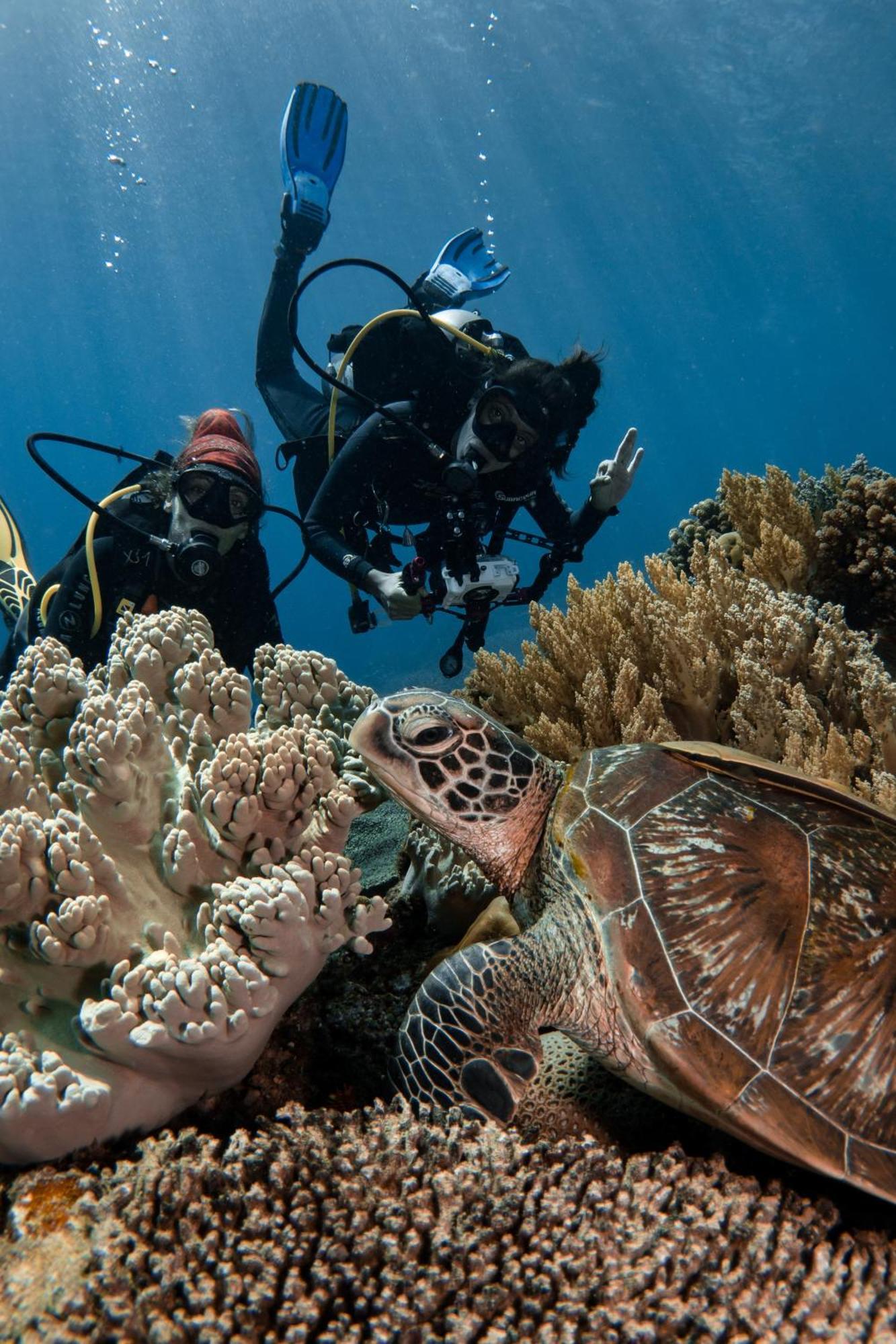 Vitaminsea Room Dauin Luaran gambar