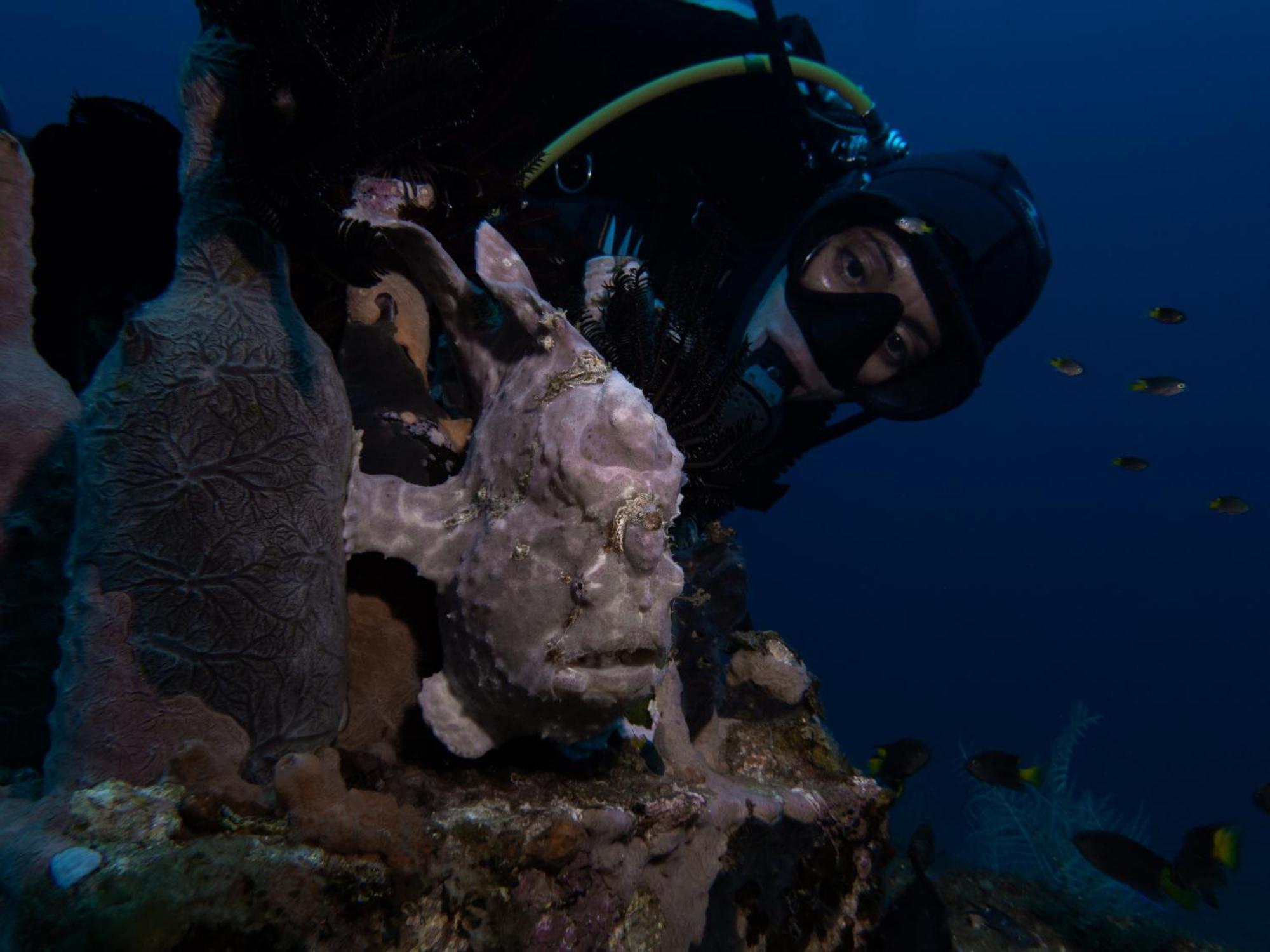 Vitaminsea Room Dauin Luaran gambar